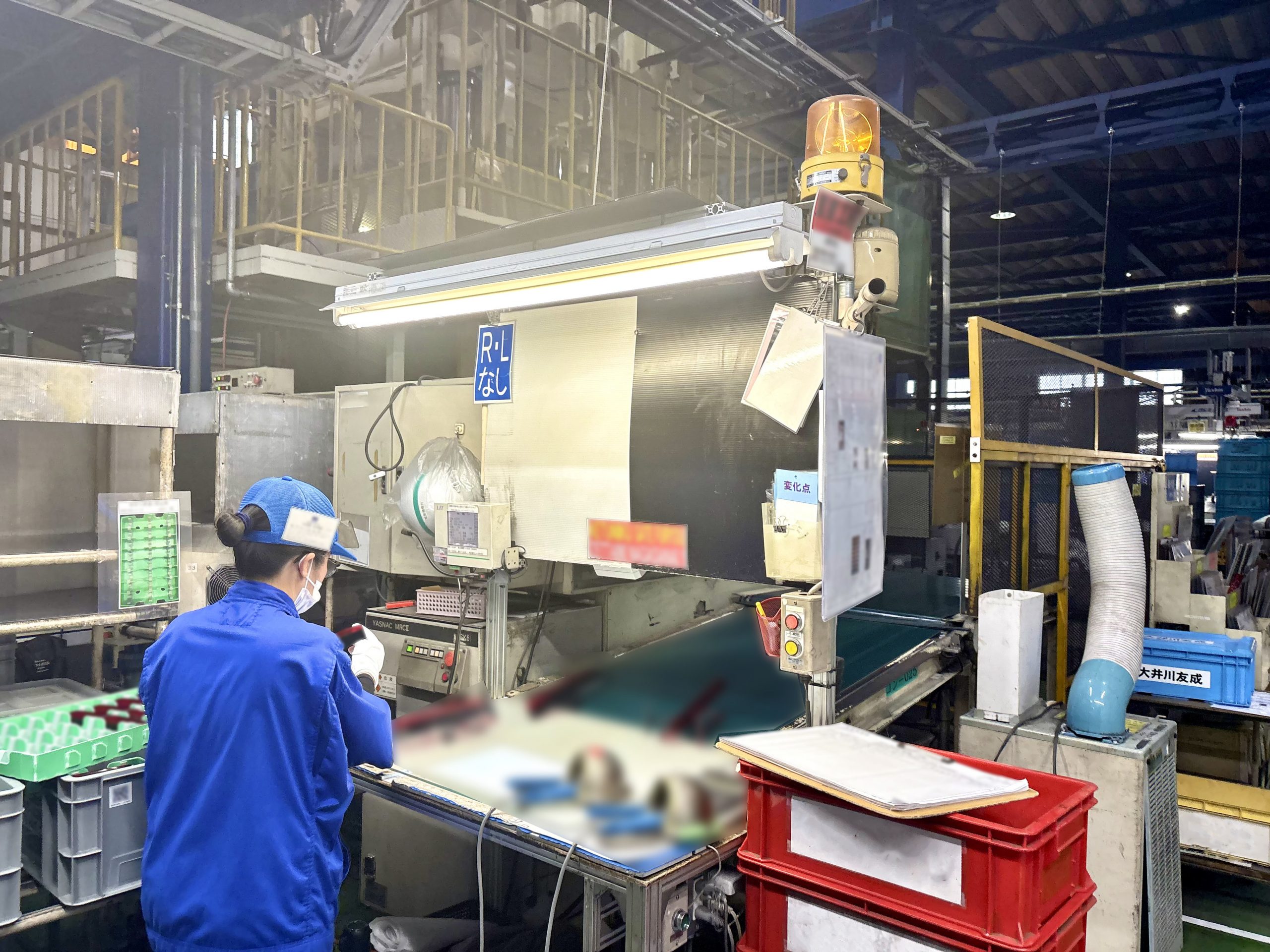 写真 2025-06-12 11 30 05 (2)